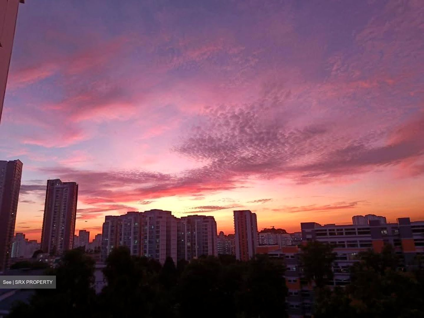 Blk 288F Bukit Batok Street 25 (Bukit Batok), HDB Executive #620175461
